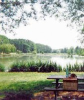 /album/galerie-de-photos-page-daccueil/letang-de-champigny-jpg1/